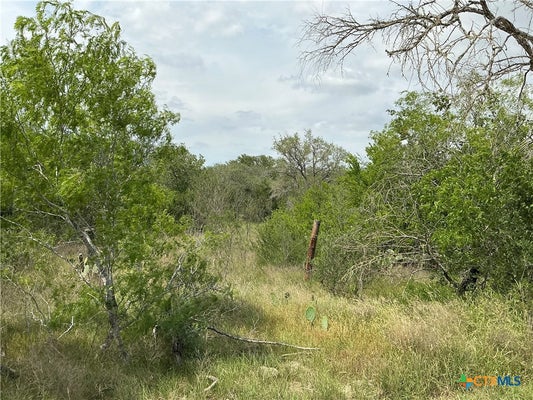 1066 ROBERTSON RD, SMILEY, TX 78159 - Image cf2bac65ee9efd2a5ac51dd611b63b16/1488945467