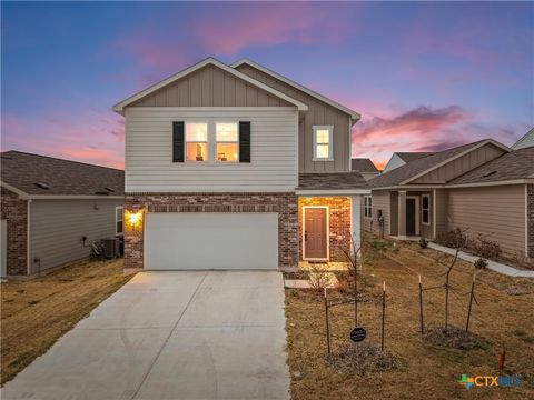 Photo of 121 Sudden Impact Drive, Jarrell, TX 76537 (MLS # 609323)