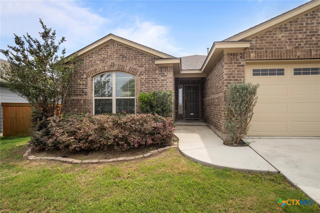 104 Cypress Hills