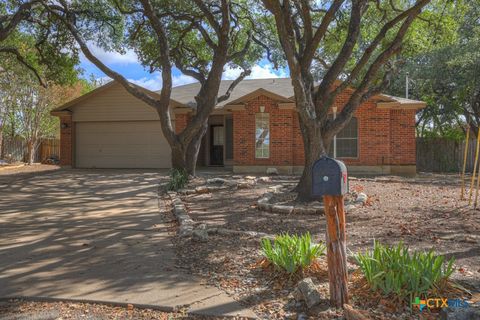 Photo of 431 Quail Meadow Drive, Kyle, TX 78640 (MLS # 596085) Photo of 431 Quail Meadow Drive, Kyle, TX 78640 (MLS # 596085)