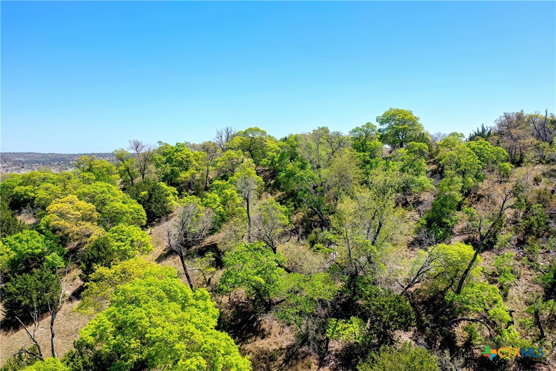 331 Echo Falls Lane