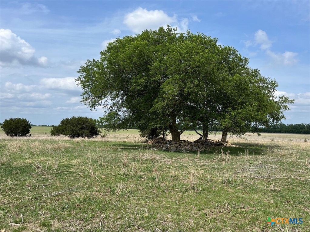 000 County Road 269