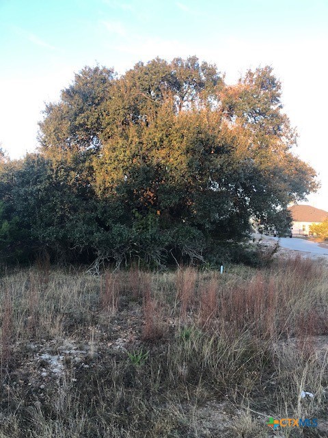 LOT A. Coleman Street