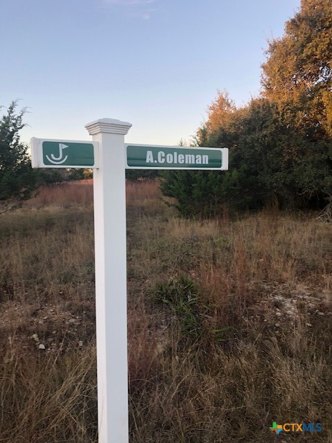 LOT A. Coleman Street