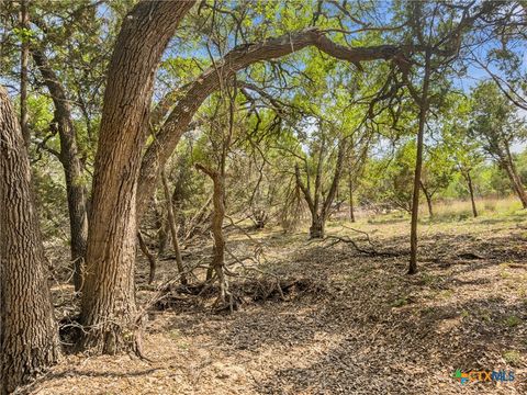 Photo of 369 Onion Creek Lane, Blanco, TX 78606 (MLS # 612025)