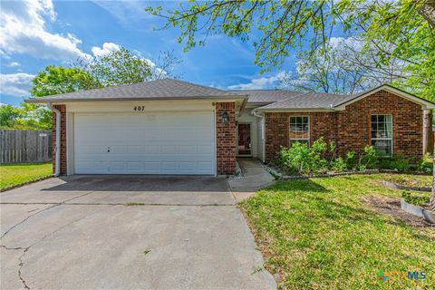 Photo of 407 Sterling Manor Ct Ct, Temple, TX 76502 (MLS # 609266)
