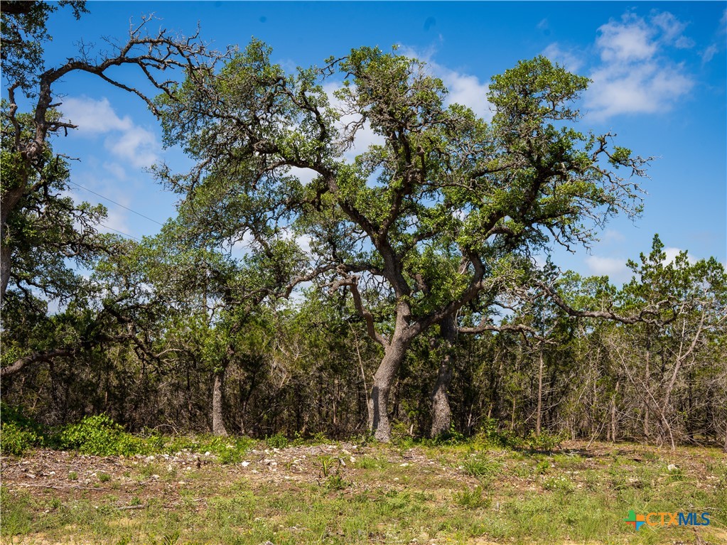 000 Oak Valley Ranch