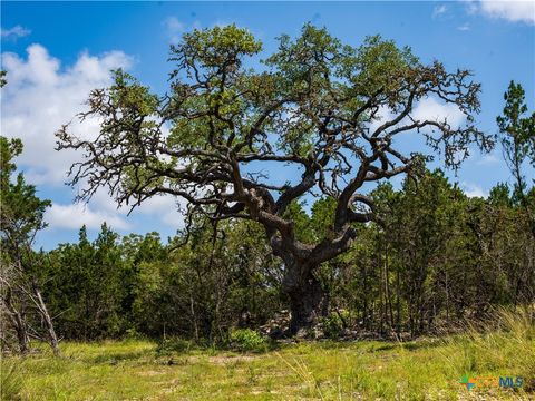 000 Oak Valley Ranch Dripping Springs TX 78676