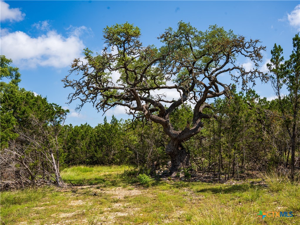 000 Oak Valley Ranch