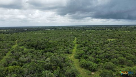 1382 Old Fannin Road Goliad TX 77963