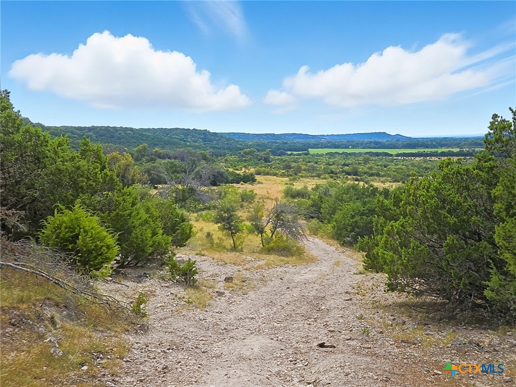 TBD-482 Acres W Fm 217