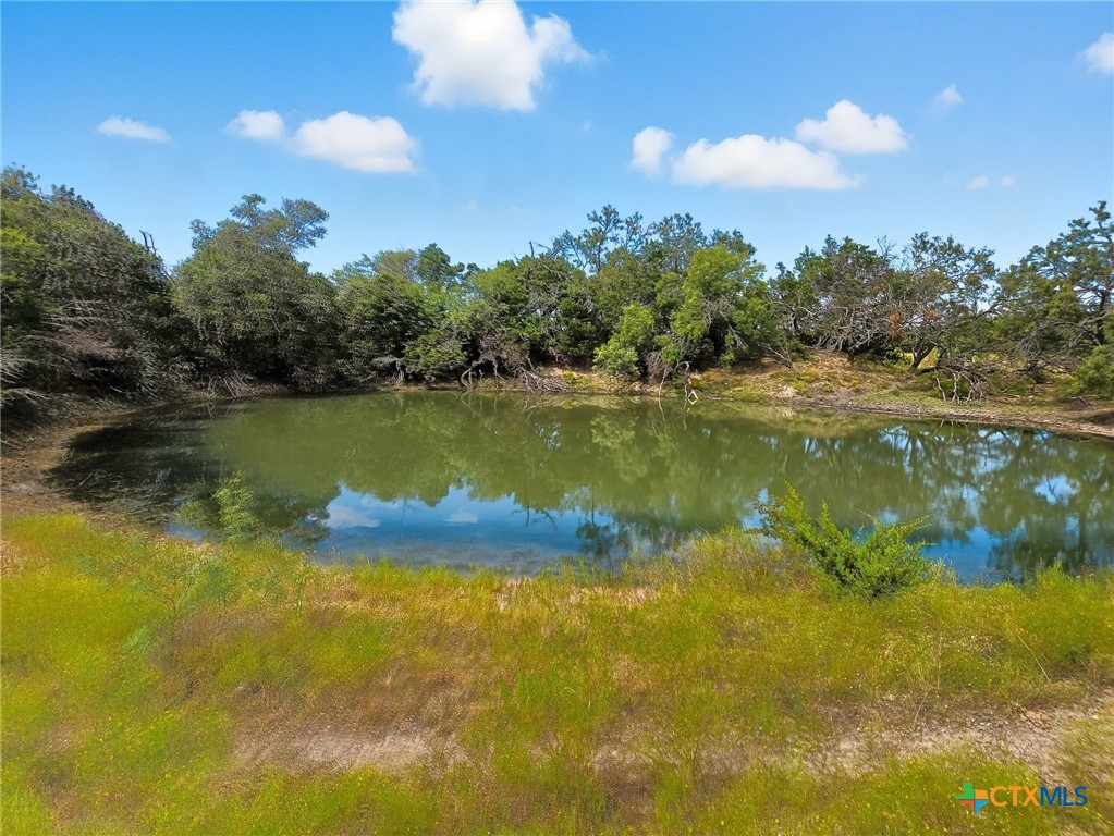 TBD-482 Acres W Fm 217