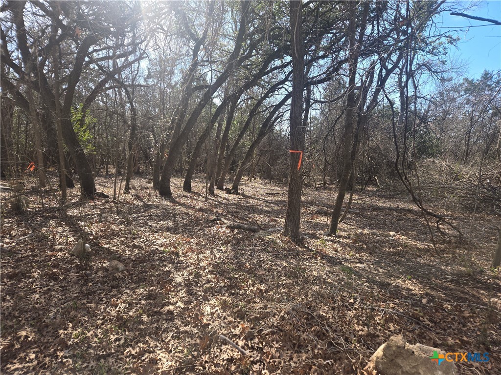 TBD Estate Trail