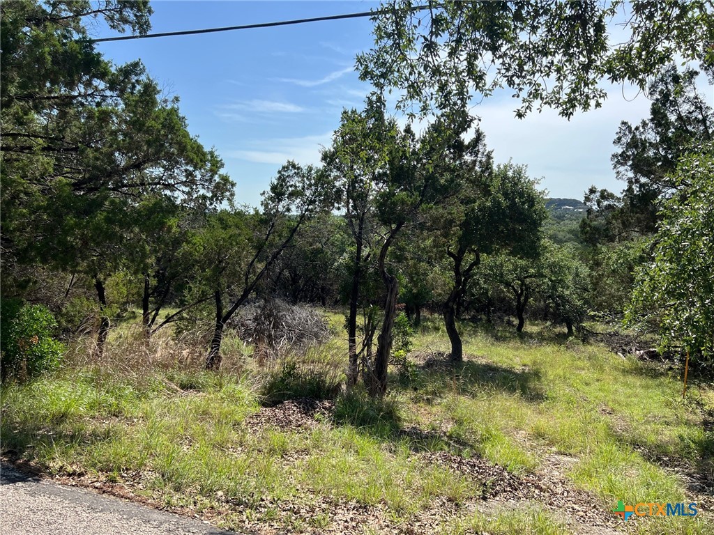 Canyon Lake, Texas 78133, United States, ,Land,Active,139121