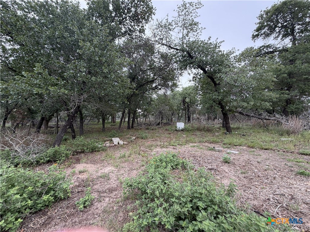 Photo of 105 Clear Spring Springs, Floresville, TX 78114 (MLS # 625940)
