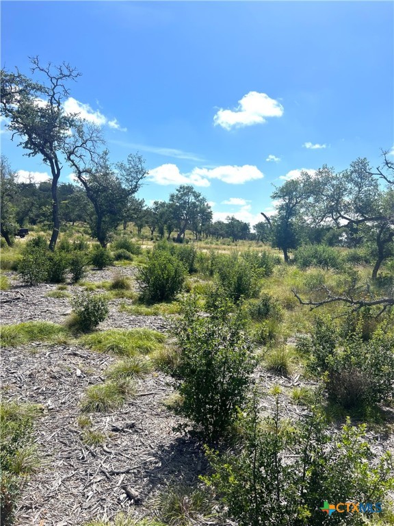 00000 Citadel Rd