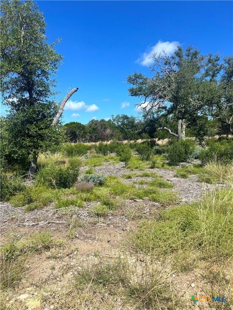00000 Citadel Rd Comfort TX 78010