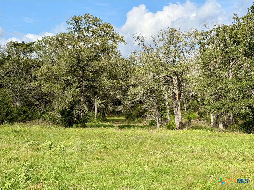 15631 Fm 682 - TRACT F