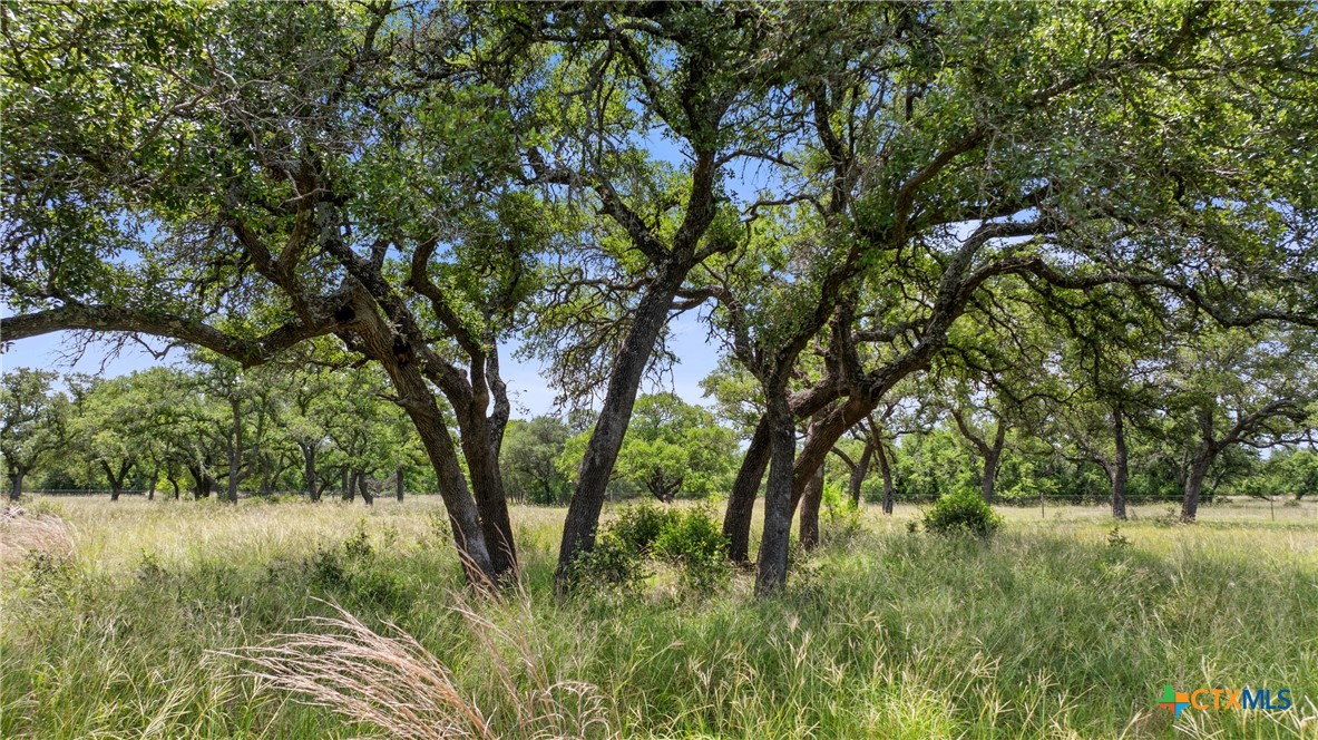 997 Sandy Oaks Ranch Rd