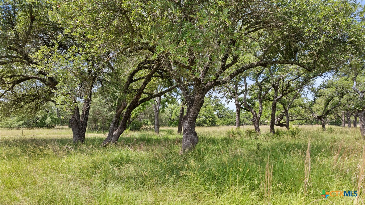 997 Sandy Oaks Ranch Rd