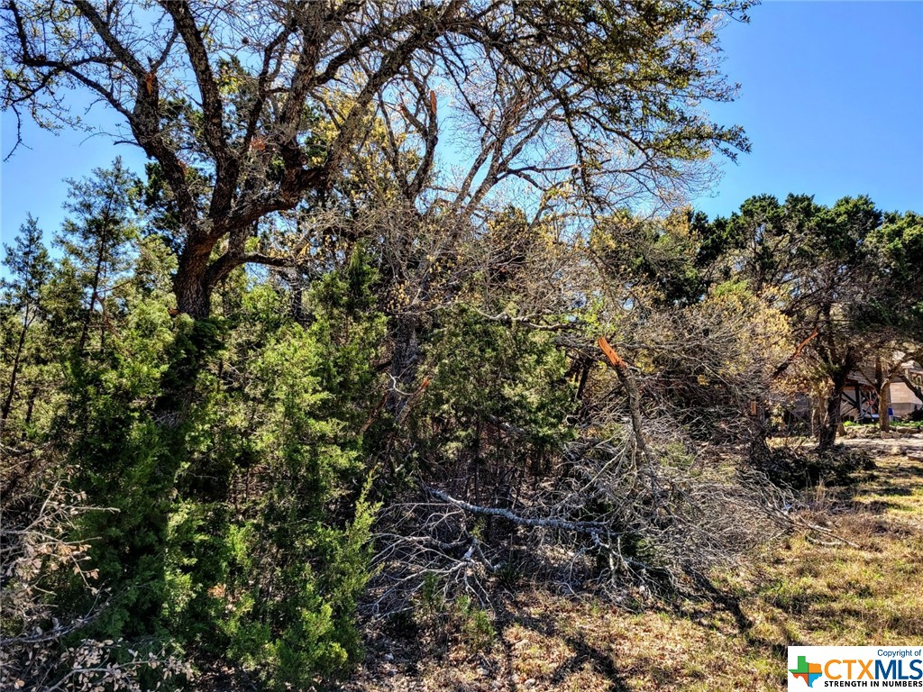 Photo 1 of 12 — 1276 Canyon Bend Bend, Canyon Lake, TX 78133