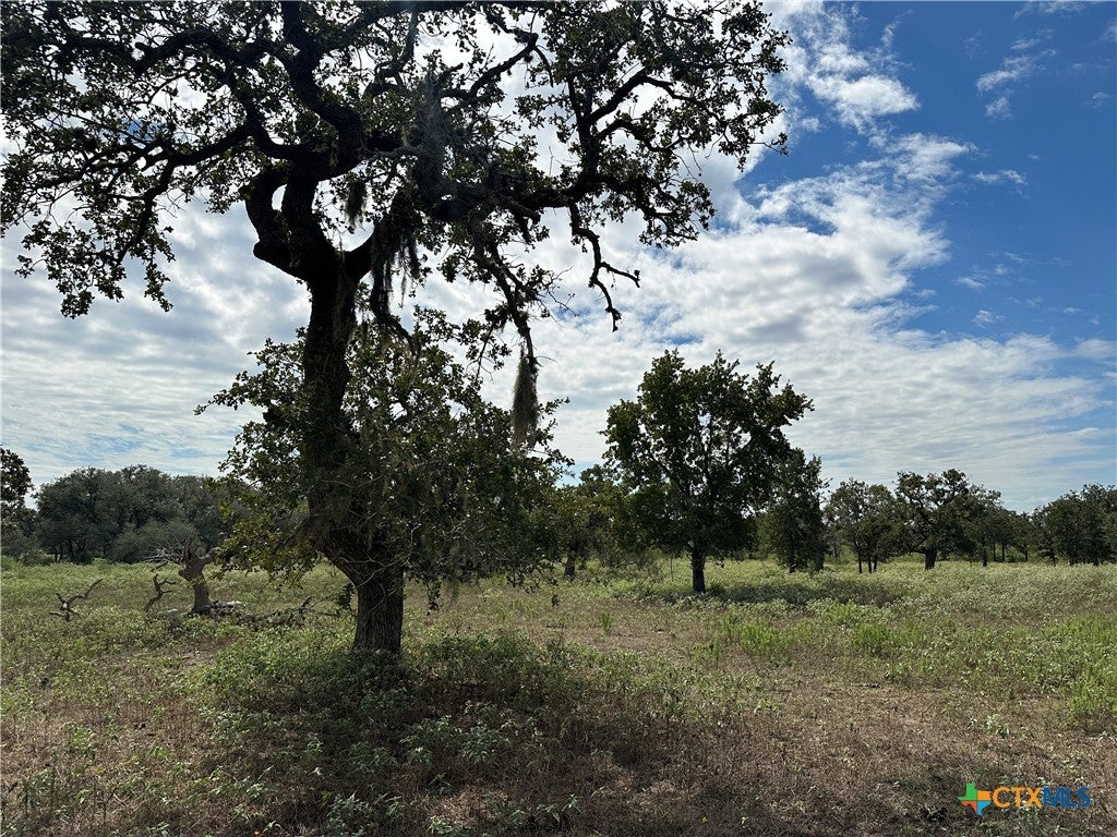 Tract 1 Regan Lane