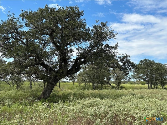 ADDRESS PRIVATE, VICTORIA, TX  - Image d8d3b941012e5f7812dd08d01a67f73e/3301702662