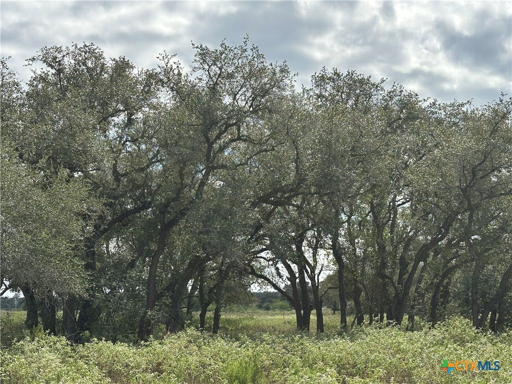 Tract 1 Regan Lane