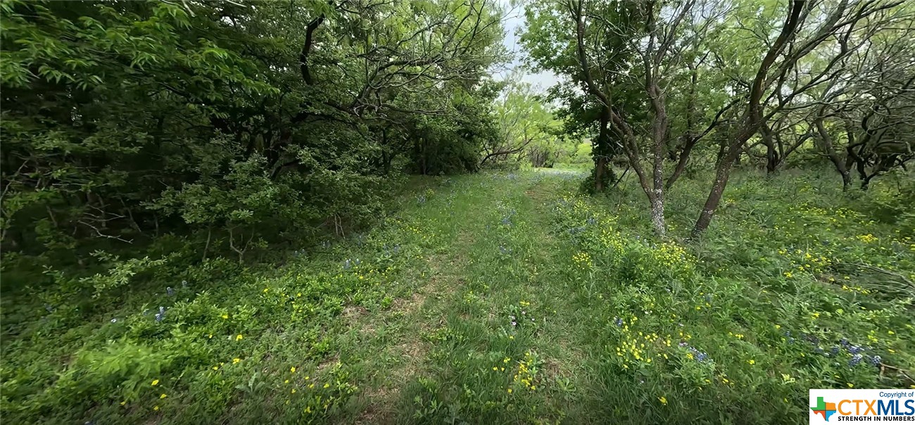 3955 Blue Cut Road