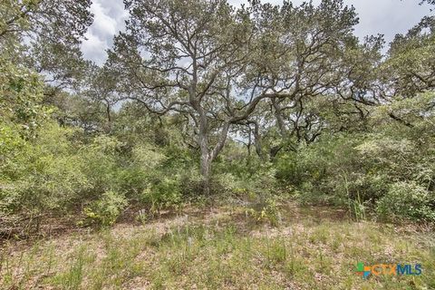 Tract 12 PR 4061 Edna TX 77957