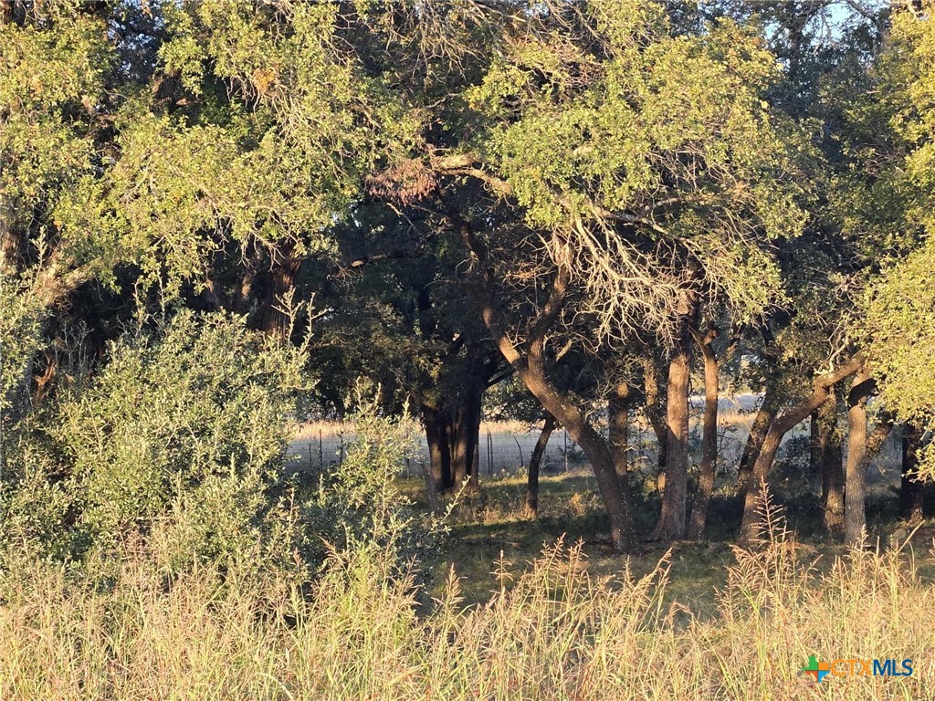 317 Yellowstone Drive