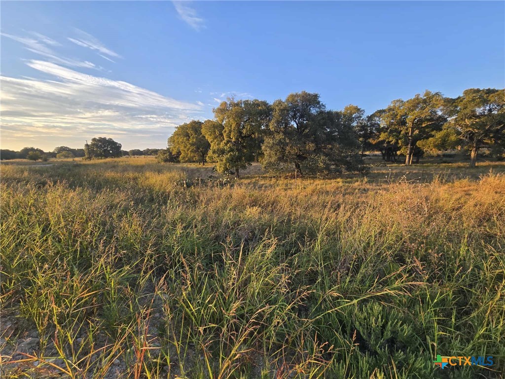 317 Yellowstone Drive