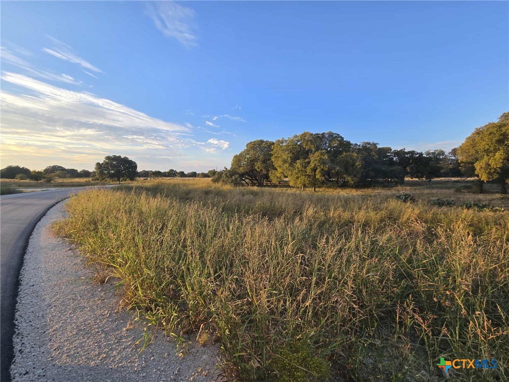 317 Yellowstone Drive