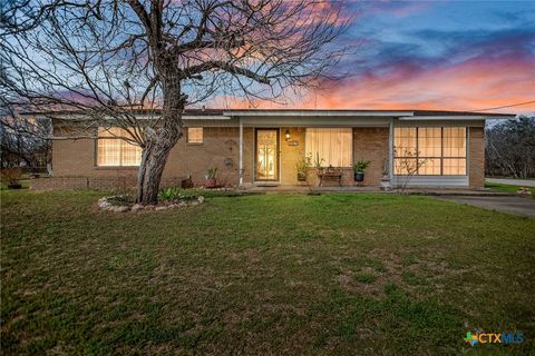 Photo of 207 Williams St, Tivoli, TX 77990 (MLS # 604852)