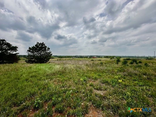180 SANTA GERTRUDIS DR, SUTHERLAND SPRINGS, TX 78161 - Image dc091c51d40be312e014efc26affc6aa/3818326812