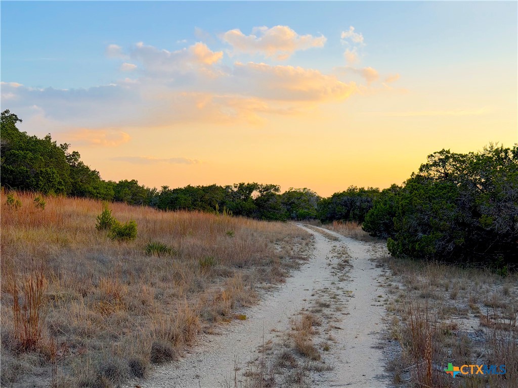 100 Acres N Cranes Mill Rd.