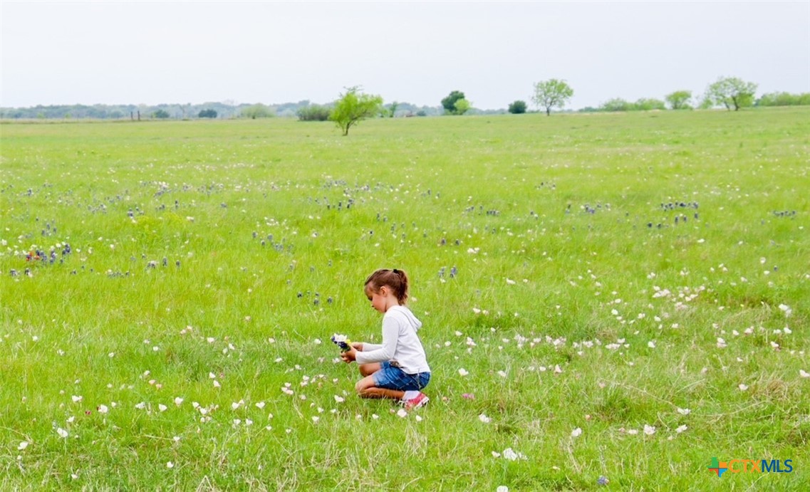 1291 County Road  259