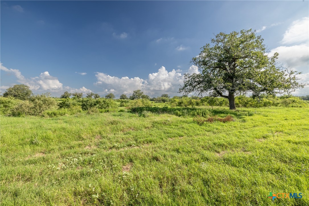 Photo 1 of 15 — Lot 1-B County Road 491, Gonzales, TX 78629