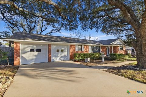Photo of 3413 Meadow Oaks Drive, Temple, TX 76502 (MLS # 614687)