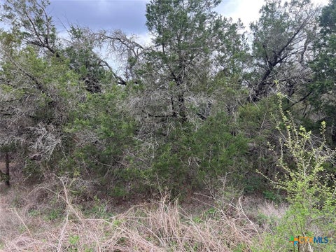Photo of 800 Fox Road, San Marcos, TX 78666 (MLS # 626091)