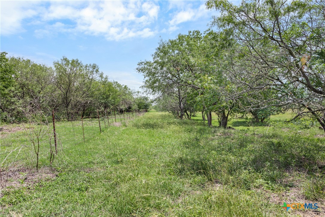 1190 Dickerson Road