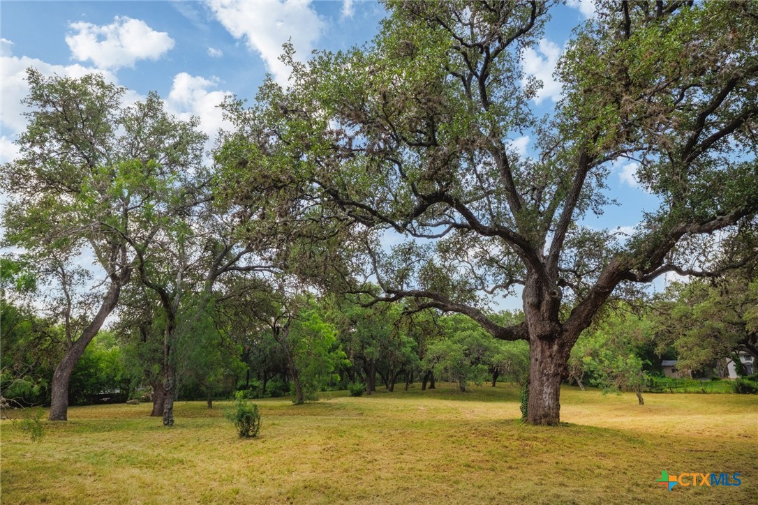 304 Hill Country Lane
