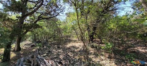 15921 Salado Drive Temple TX 76502