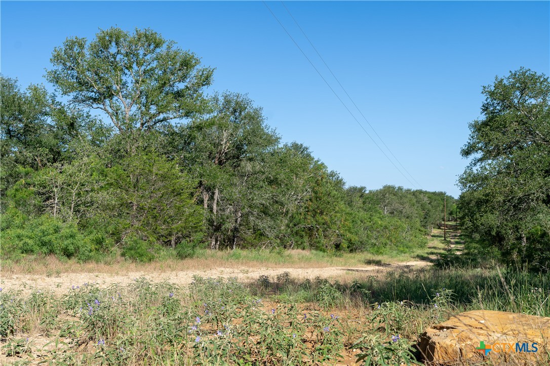 995 Carter Road