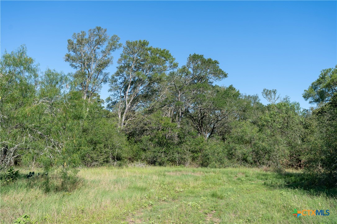 995 Carter Road