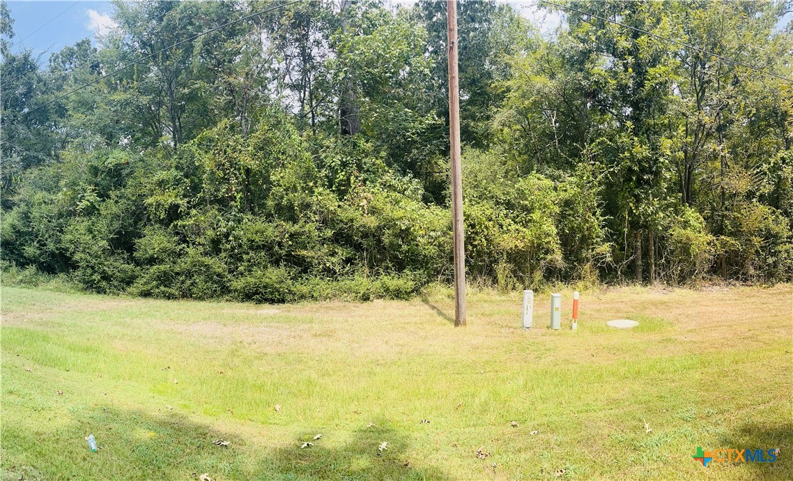 TBD MISTLETOE Street