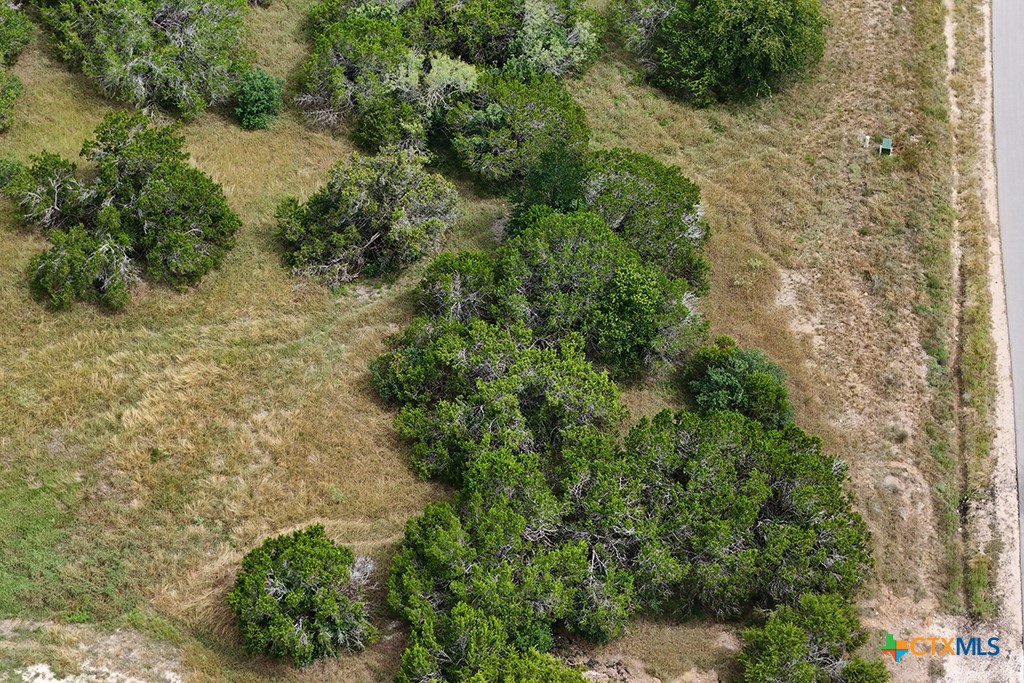 Canyon Lake, Texas 78133, United States, ,Land,Active,181521