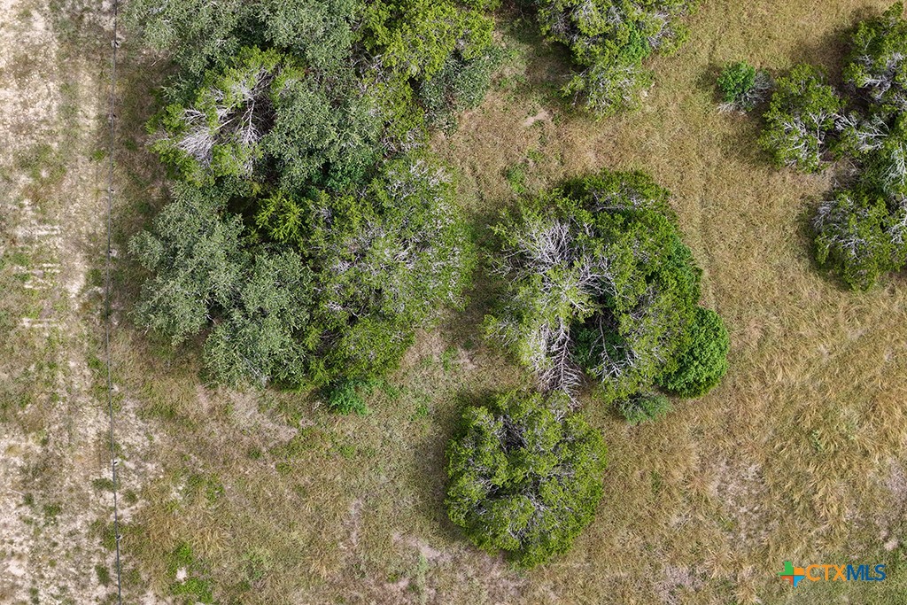 Canyon Lake, Texas 78133, United States, ,Land,Active,181521