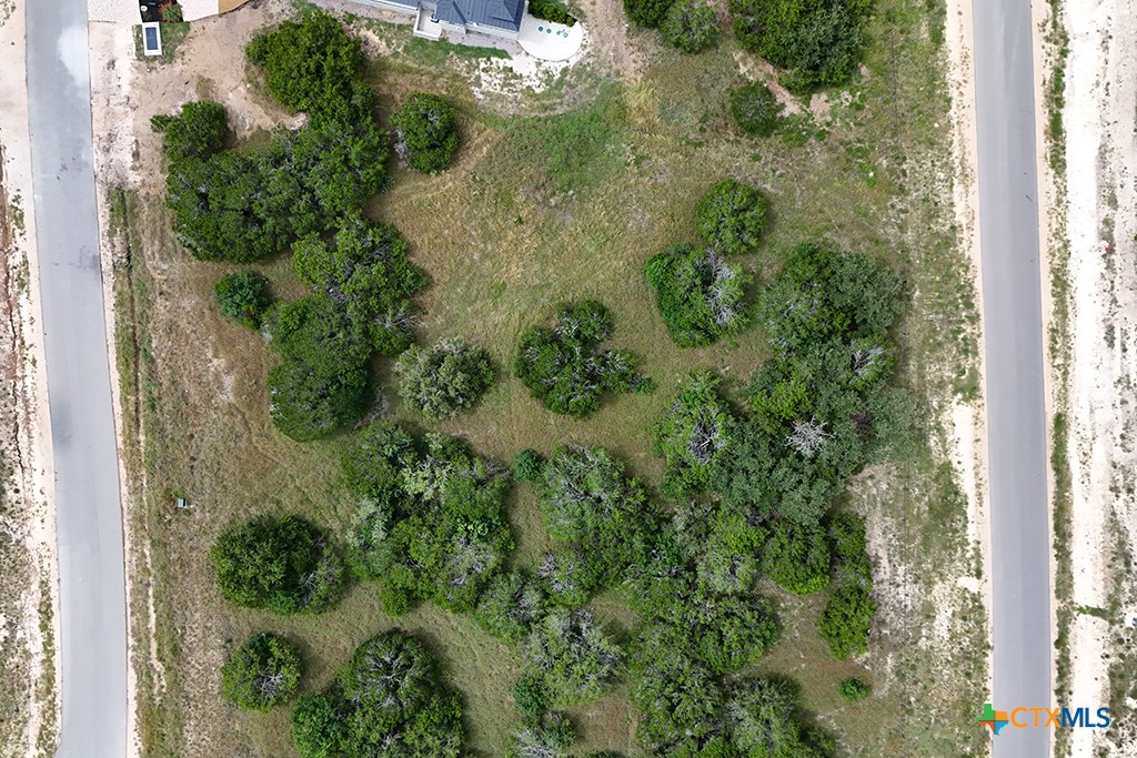 Canyon Lake, Texas 78133, United States, ,Land,Active,181521