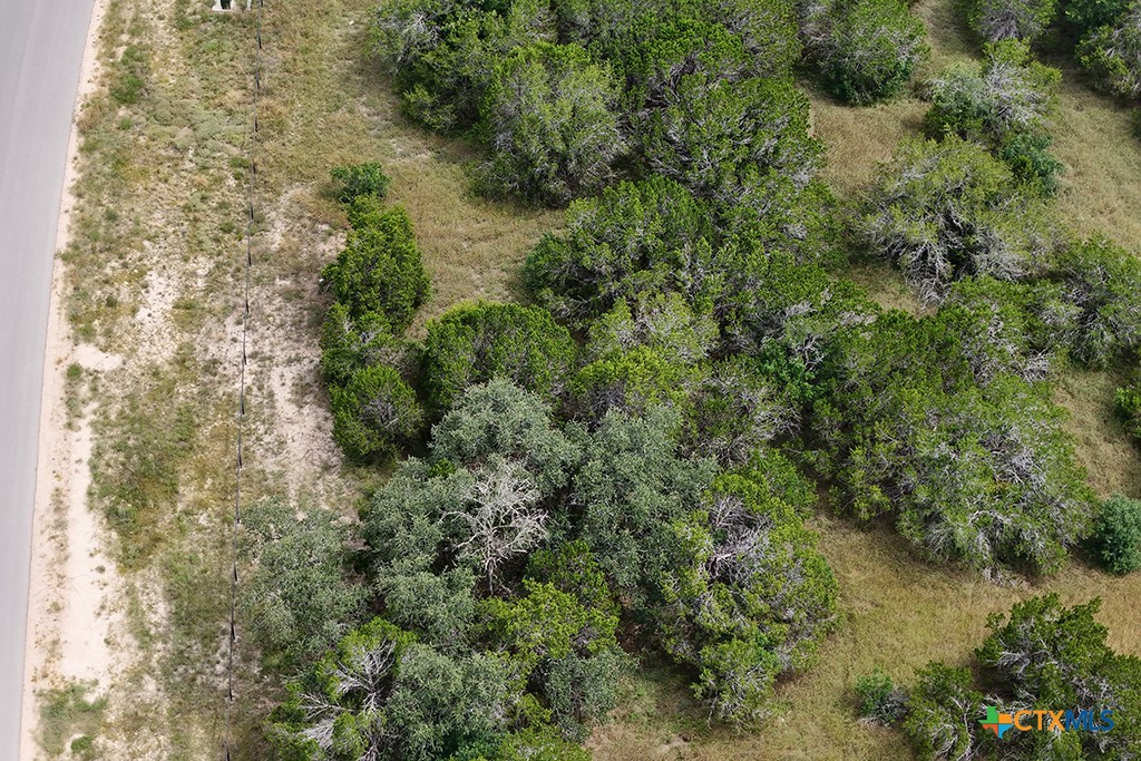 Canyon Lake, Texas 78133, United States, ,Land,Active,181521